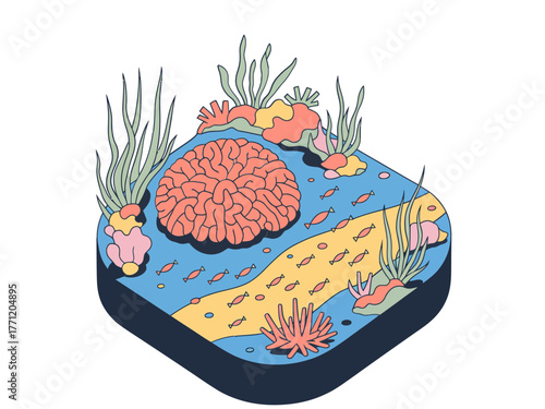 Coral reef platform, brain coral centerpiece, sea grass and shells, shallow water scene, aquarium inspiration, tropical ocean vector