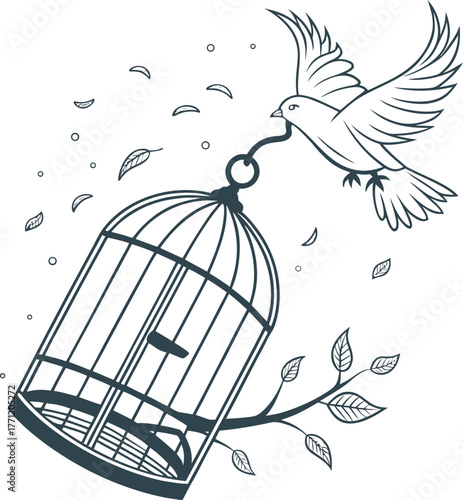 bird in cage