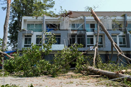 Large tree fell on building, Damaging it after summer storm, Strong winds broke trees and hit tenement house, Natural disaster.