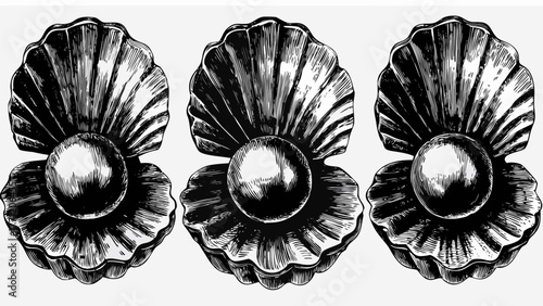 Three captivating vintage style seashell illustrations with lustrous pearls, timeless elegance for your designs