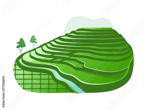 Terraced paddy fields, curved irrigation channels, lush green steps on hillside, traditional rice agriculture, isometric landscape vector