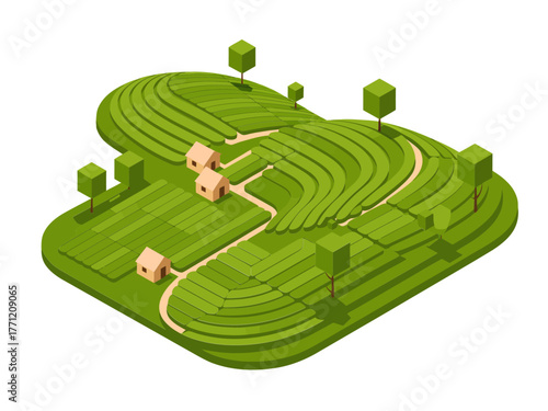 Green terrace farming hillside, stepped cultivation curves, small cottages, trees and bushes, scenic rural agriculture, eco landscape vector