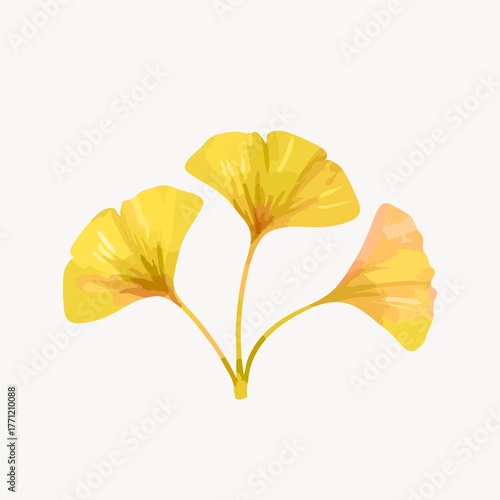 Ginkgo leaf clip art, botanical & floral graphic