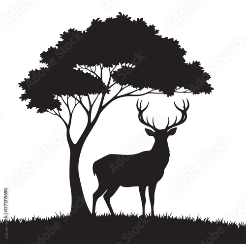 silhouette of a deer