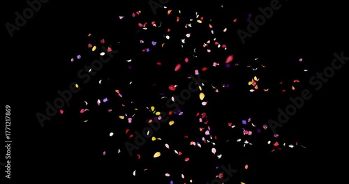 Flower petals sway in the wind. Colorful several flowers. Isolated on black background. 4K 3D rendering animation.