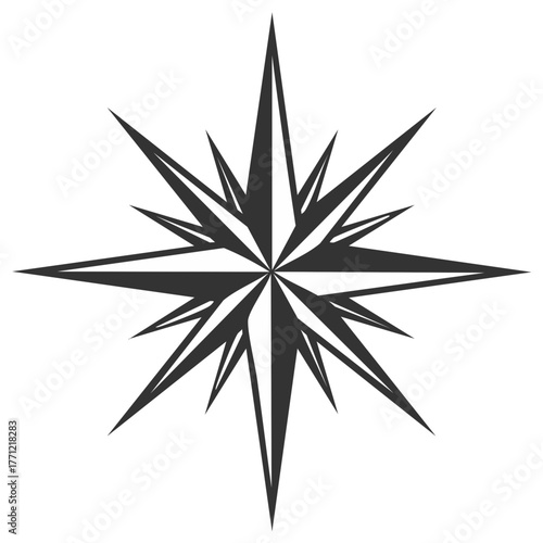Detailed Wind Rose Compass Star Silhouette in Dark Gray on White