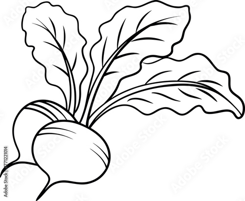 Fresh Radish: A simple line illustration of two radishes, complete with leaves. Depicting a clean, uncluttered style.
