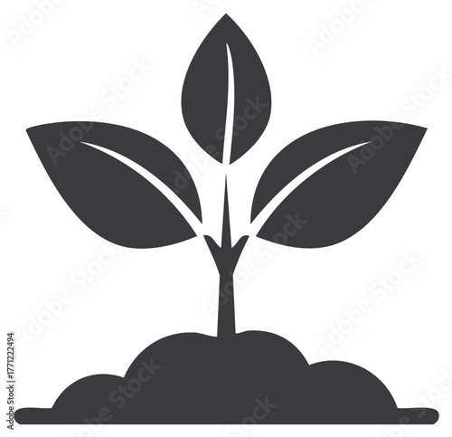 Silhouette of a plant with three leaves growing from soil symbol