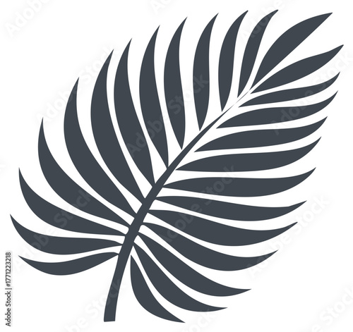 Stylized tropical palm leaf frond silhouette in a minimalist botanical vector graphic style