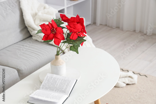 Red poinsettia flowers in v...