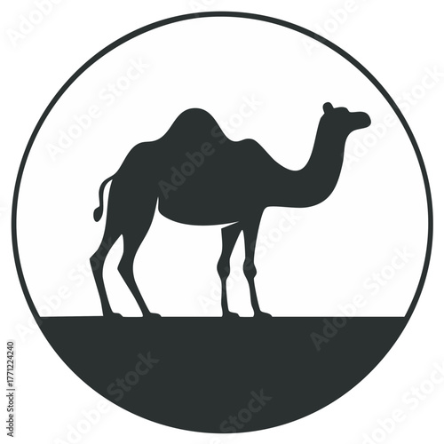 Silhouette of a dromedary camel standing in a circle