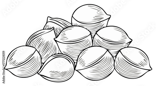 Pile of chickpeas or garbanzo beans in a vintage woodcut engraved style illustration