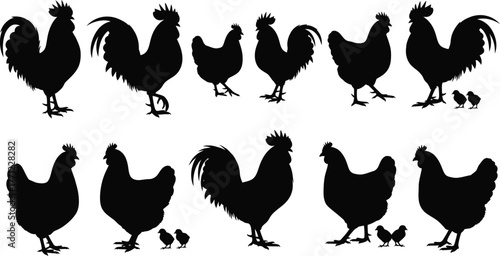 Silhouette collection of roosters and hens with chicks farm animal graphics for diverse agricultural themes isolated on transparent background
