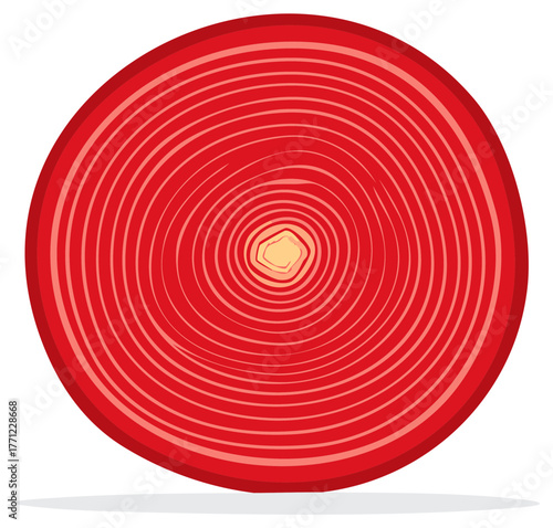 Sliced Red Onion Cross Section Showing Internal Rings Vector Illustration
