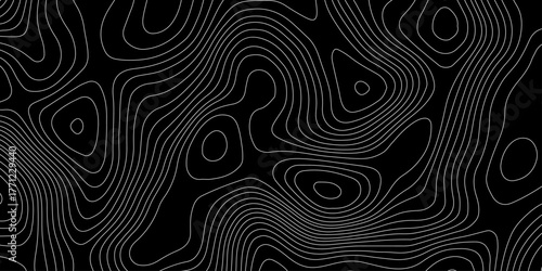 white background with abstract topographic whit color grid line topo map black background., depicting elevation changes in an abstract representation	
