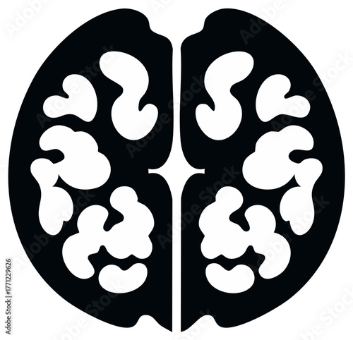 Black and White Graphic Illustration of Walnuts Halves Nut Meat