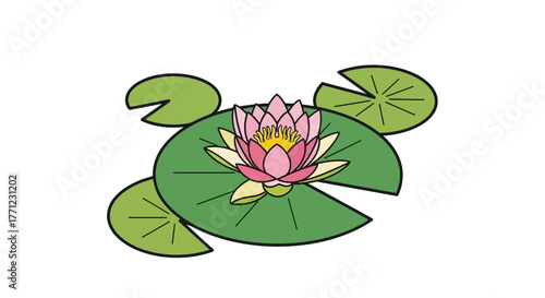 Beautiful pink water lily flower blooming on green lily pads serene aquatic plant nature isolated on white background
