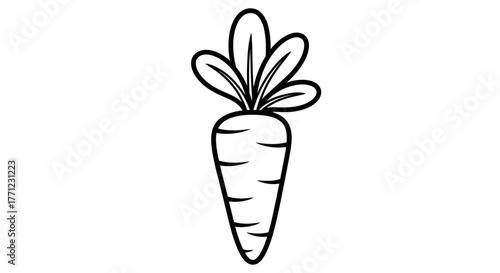 Simple hand drawn carrot outline icon perfect for healthy food graphics and kitchen decor isolated on white background