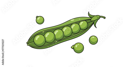 Fresh green pea pod with loose peas hand drawn style realistic rendering vibrant healthy food ingredient isolated on white background