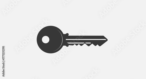 Simple dark gray skeleton key silhouette for security and access concepts isolated on white background