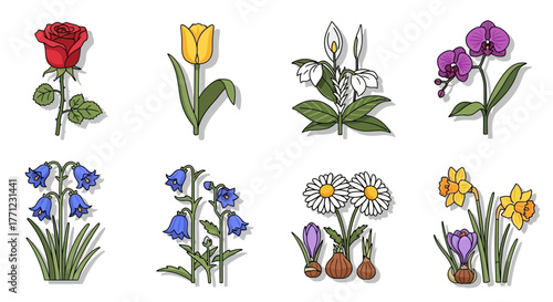 Collection of delicate floral arrangements featuring various flower types and colors for decorative use isolated on white background