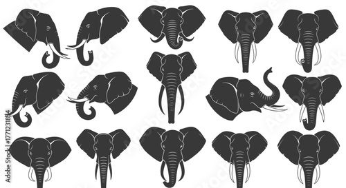 Collection of stylized dark elephant heads and silhouettes diverse poses and angles isolated on white background