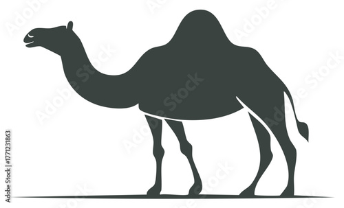 Dark Silhouette of a Camel with One Hump
