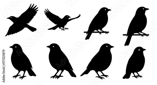 Collection of eight black bird silhouettes in various poses showing wings and perching detail isolated on white background