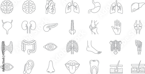 "Vector Illustration of a Pixel Art Human Organs Icon Set. Retro 8-bit Anatomy and Medical Symbols for Game Design."