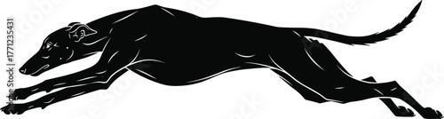 Black Silhouette of Running Greyhound Dog Vector Illustration