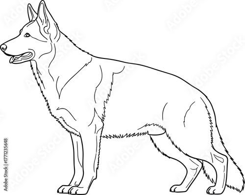 German Shepherd Dog Breed Outline Vector Illustration