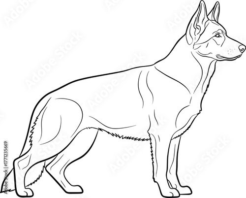 German Shepherd Dog Breed Outline Vector Illustration
