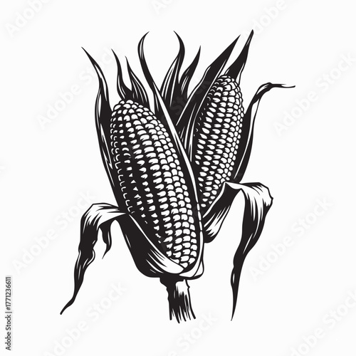 Sweet Corn Illustration Vector Design on white background