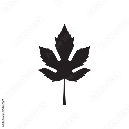 classic maple leaf silhouette vector illustration with seven pointed lobes for canadian and autumn themes.