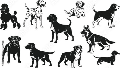 Mega Set of Dog Breeds Silhouette and Outline Vector Illustration