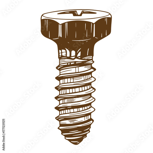 Detailed hand drawn illustration of a wood screw in a brown color with a vintage art style