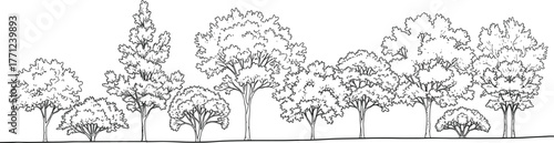 Black and white illustration of diverse deciduous trees in curved row, varied canopy shapes, natural texture, landscape sketch, nature study