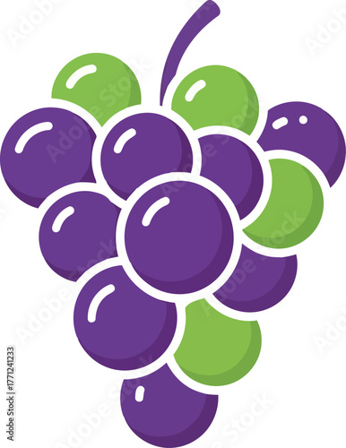 Vibrant mixed grapes bunch fresh healthy food fruit isolated illustration vector
