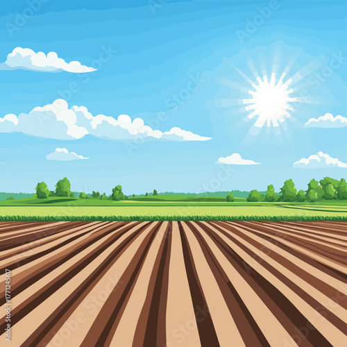 Arable land background with blue sky and sun