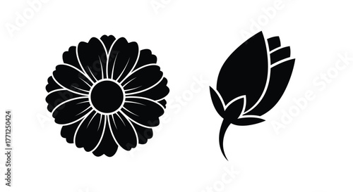 Simple black and white illustration of a flower and a leaf design
