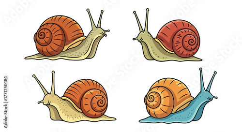Four colorful snails with swirling shells shown in a cartoon illustration