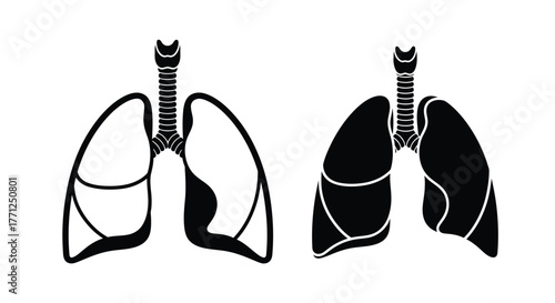 Anatomical illustration displaying human lungs in contrasting black and white