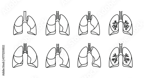 Detailed illustrations of human lungs in various stages and perspectives