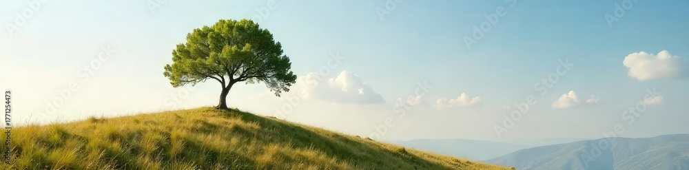 Fototapeta premium A solitary tree stands on a windswept hill, its branches reaching out against a vast, empty sky, conveying a sense of natural isolation and solitude , environment, hill