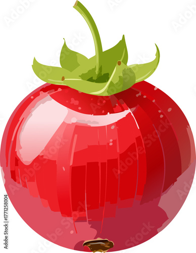 Glossy Redcurrant Vector for Teaching Global Citizenship and Sustainable Development Goals
