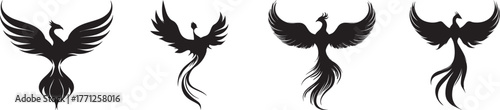 Silhouette of rising phoenix bird with wide wings on white background symbolizing rebirth, power, transformation, freedom, immortality, and strength in mythical creature and fantasy art concept
