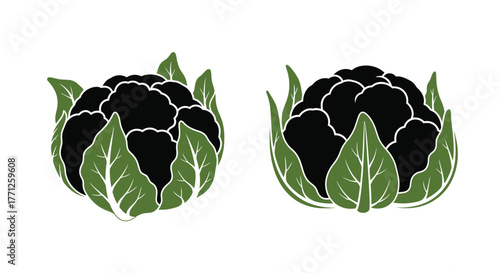 Two black cabbage heads with green leaves a simple vector illustration