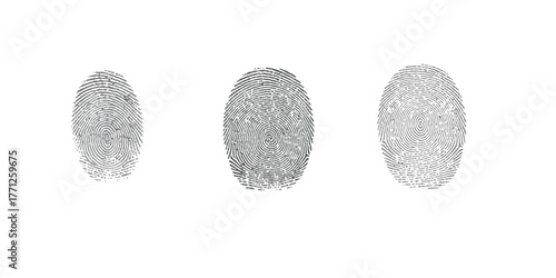 Three fingerprint images showing unique ridge patterns for identification and security purposes isolated on white background