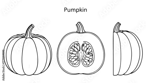 Line art illustration showing a pumpkin in three views: front, cross-section, and side, all in black and white.