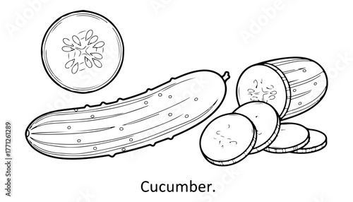 Detailed black and white illustration of a whole cucumber, sliced pieces, and a cross-section.
